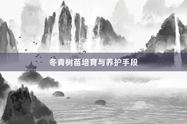 冬青树苗培育与养护手段