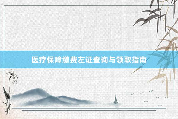 医疗保障缴费左证查询与领取指南
